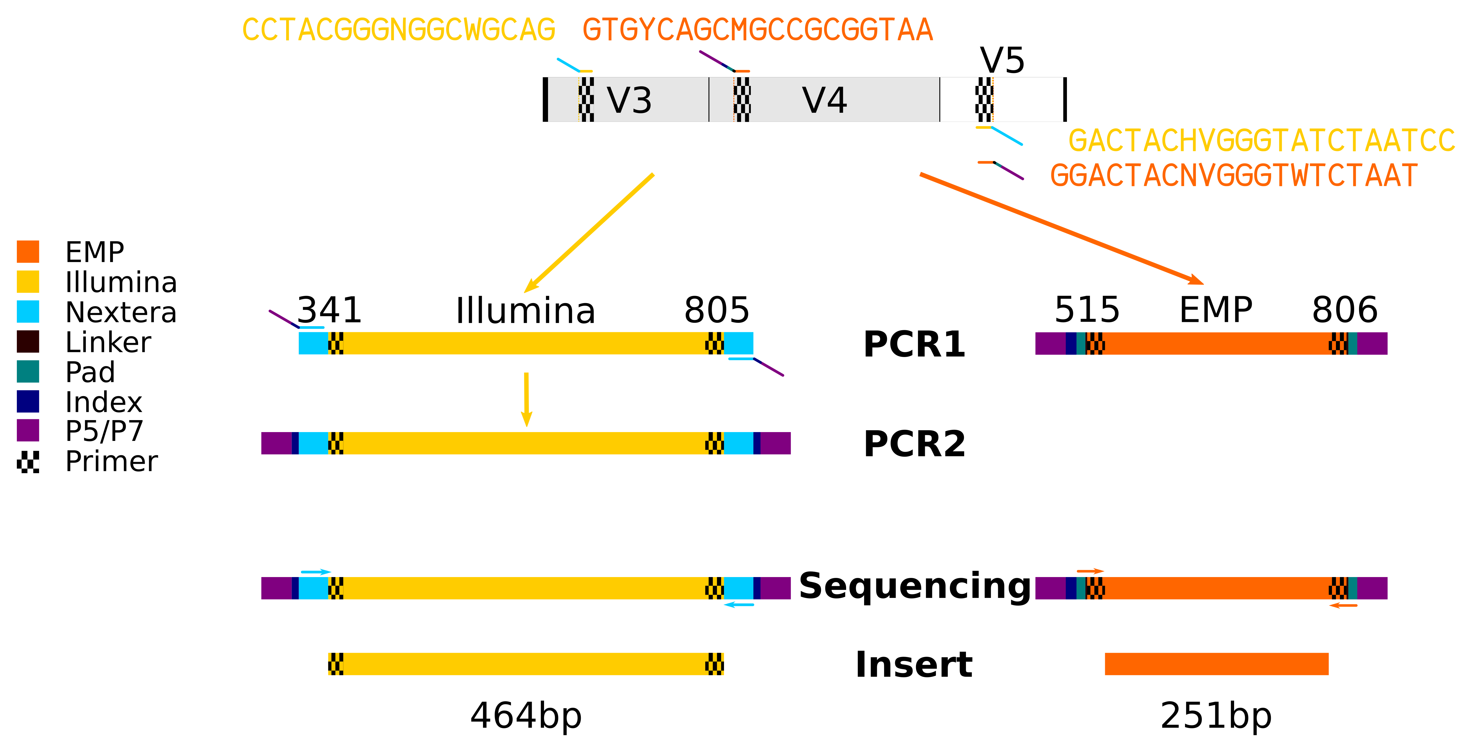 16S PCR sequencing