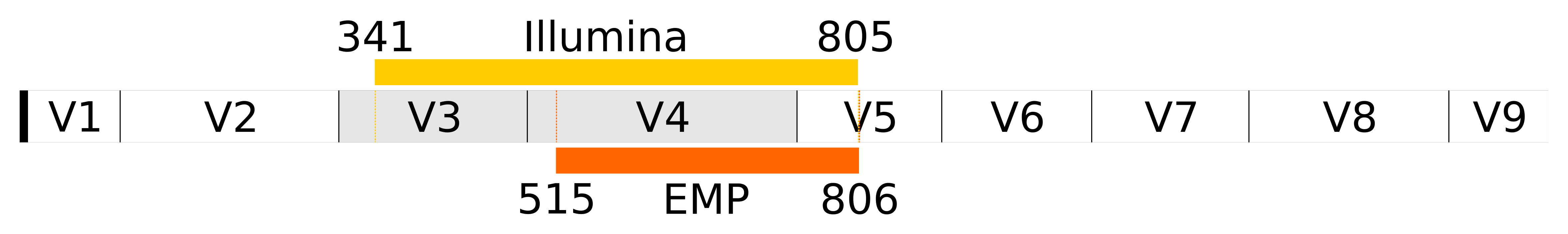 16S primer targets